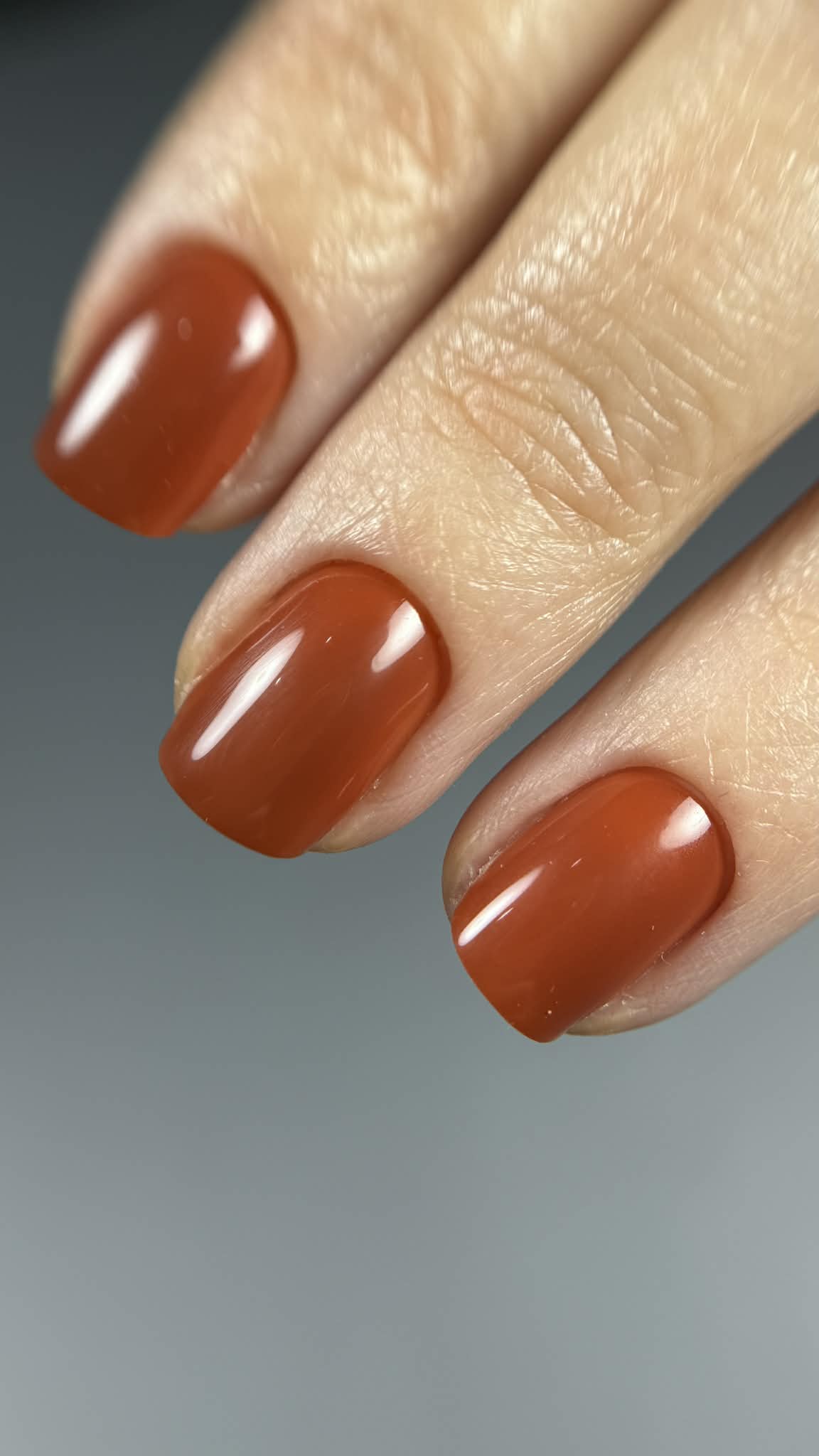 b3acd048 ac4f 4c95 b09b 040192e43d88